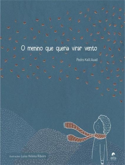 Imagem de Livro - Menino Que Queria Virar Vento, O - 2ª Ed