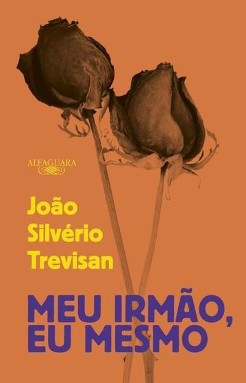 Imagem de Livro Meu irmão eu mesmo João Silvério Trevisan