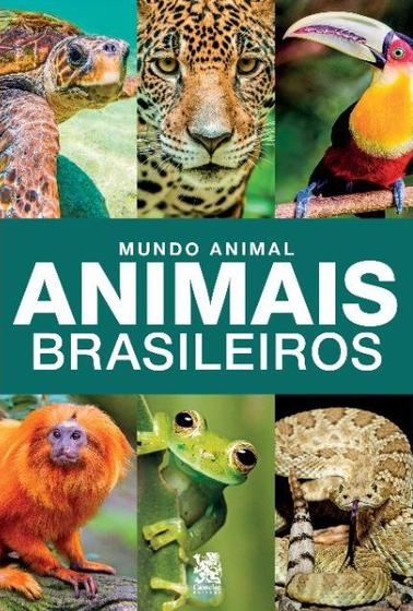 Imagem de Livro Mundo Animal Animais Brasileiros