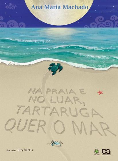 Imagem de Livro - Na praia e no luar, tartaruga quer o mar
