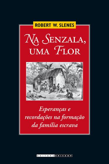 Imagem de Livro - Na senzala, uma flor