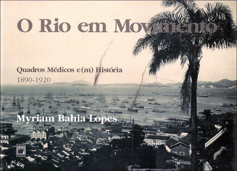Imagem de Livro - O Rio em movimento