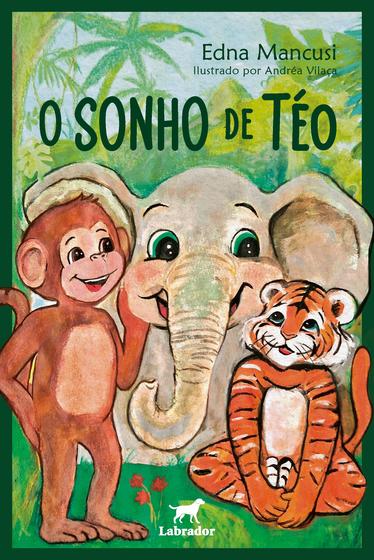 Imagem de Livro - O sonho de Téo