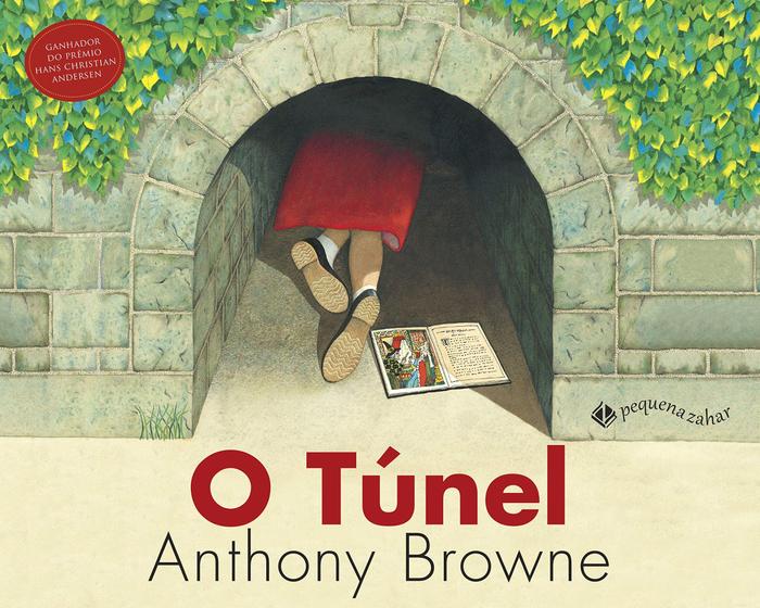 Imagem de Livro - O túnel