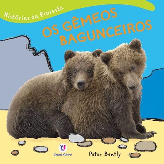 Imagem de Livro - Os gêmeos bagunceiros