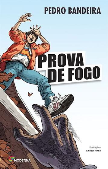 Imagem de Livro - Prova de fogo