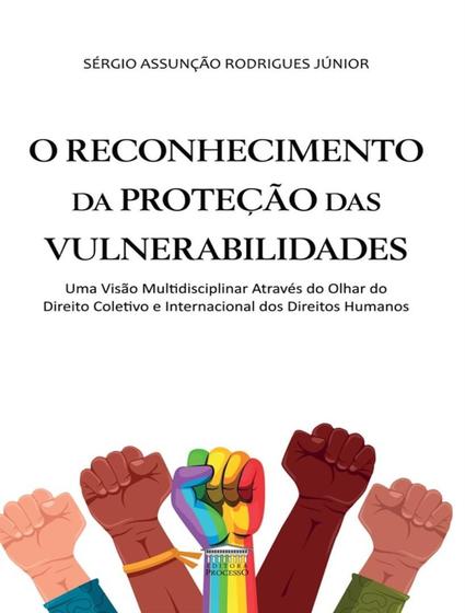 Imagem de Livro - Reconhecimento Da Protecao Das Vulnerabilidades, O