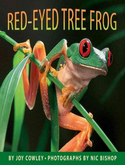 Imagem de Livro - Red-eyed tree frog, the