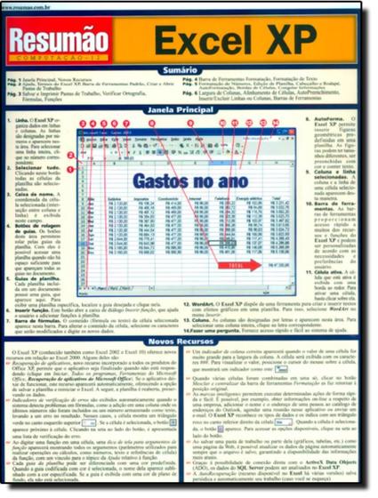 Imagem de Livro - Resumao - Excel Xp - RESUMAO