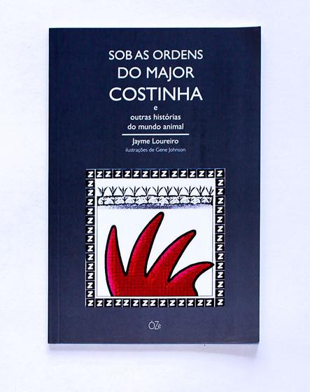 Imagem de Livro - Sob as ordens do Major Costinha