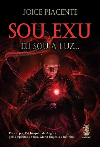 Imagem de Livro - Sou médium, o que fazer agora?