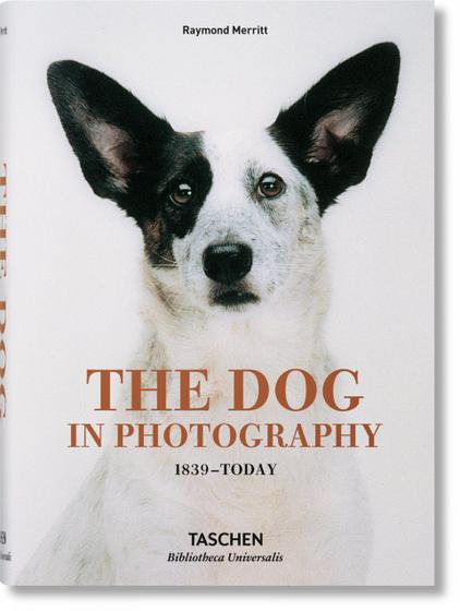 Imagem de Livro - The dog in photography 1839 - today