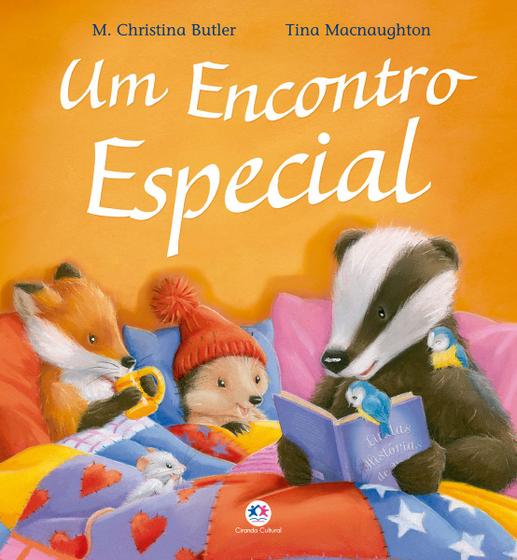 Imagem de Livro - Um encontro especial