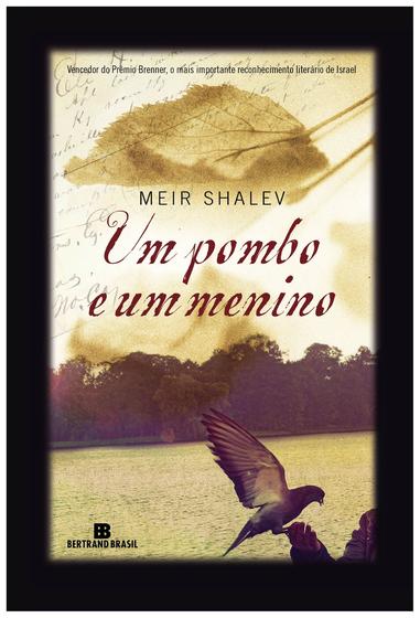 Imagem de Livro - Um pombo e um menino