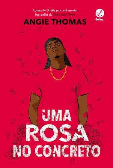 Imagem de Livro - Uma rosa no concreto