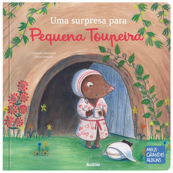 Imagem de Livro - Uma surpresa para Pequena Toupeira