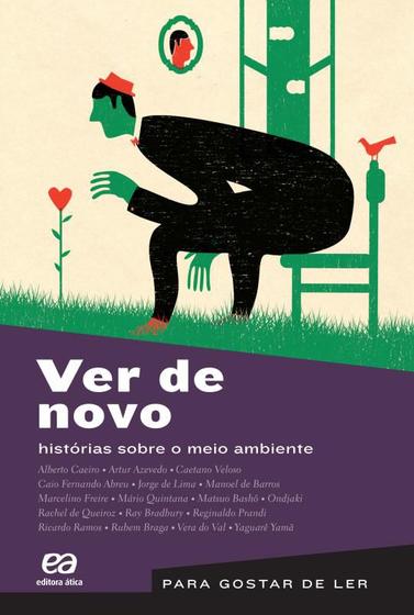 Imagem de Livro - Ver de novo