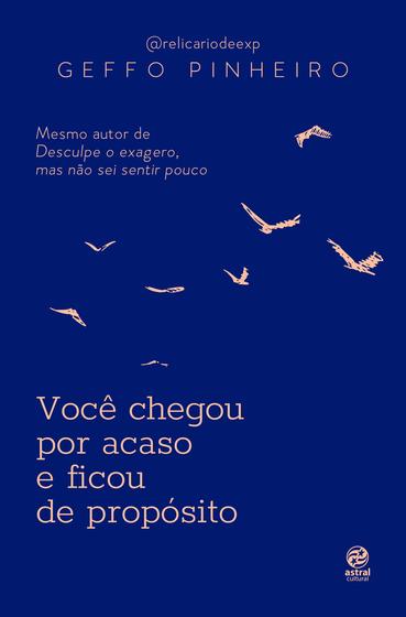 Imagem de Livro - Você chegou por acaso e ficou de propósito