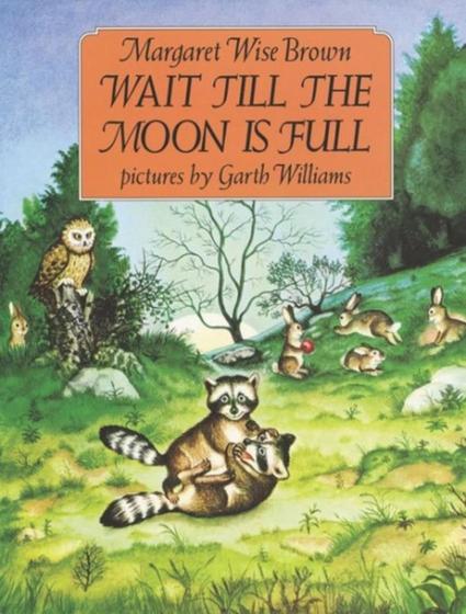 Imagem de Livro - Wait Till The Moon Is Full