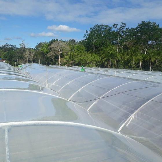 Imagem de Lona Estufa Difusora Agroplás Clean 4x100 60KG Ref 200  Anti UV - Garantia 36 meses