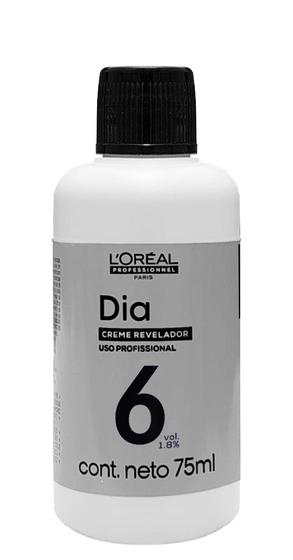 Imagem de Loreal Dia Richesse Creme Revelador 6v 75 ml