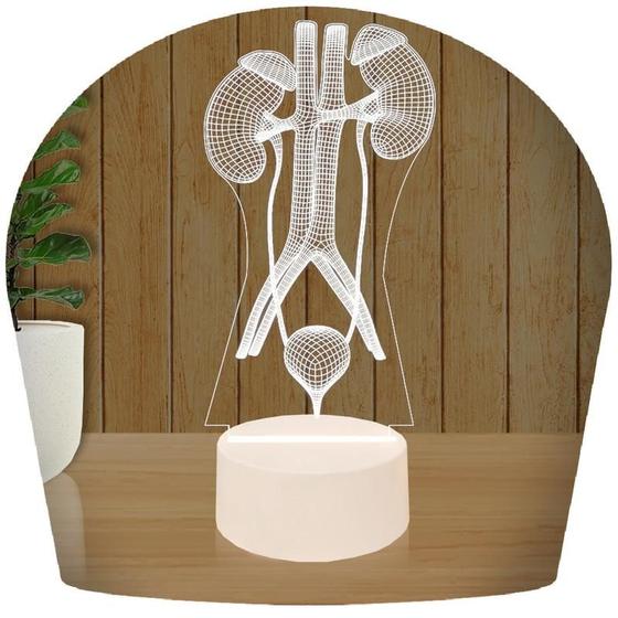 Imagem de Luminária Led 3d  Sistema Urinario Urologista Médico  Abajur Presente Criativo Decoração