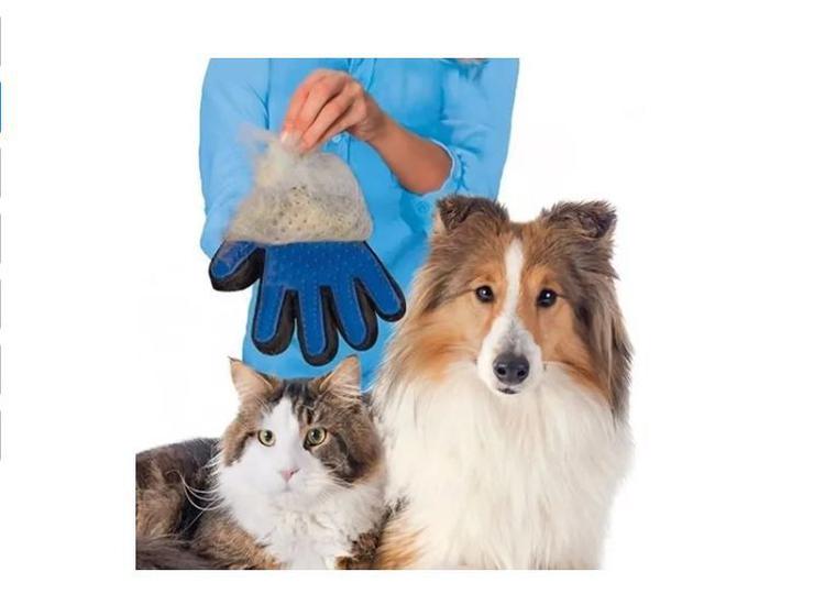 Imagem de Luva Escova Tira Remove Pelo Cães Gato Azul Mão Direita