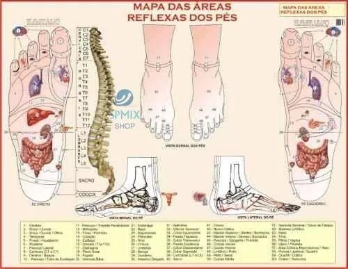 Imagem de Mapa Corpo Humano Areas Reflexas Dos Pes 120x90 cm - Edição Atualizada