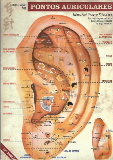 Imagem de Mapa Ilustração dos Pontos Auriculares - 12ª Edição - Wagner - ABAO