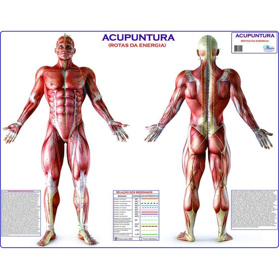 Imagem de Mapa poster - acupuntura - rotas da energia - gigante: largura 117 cm x altura 89 cm