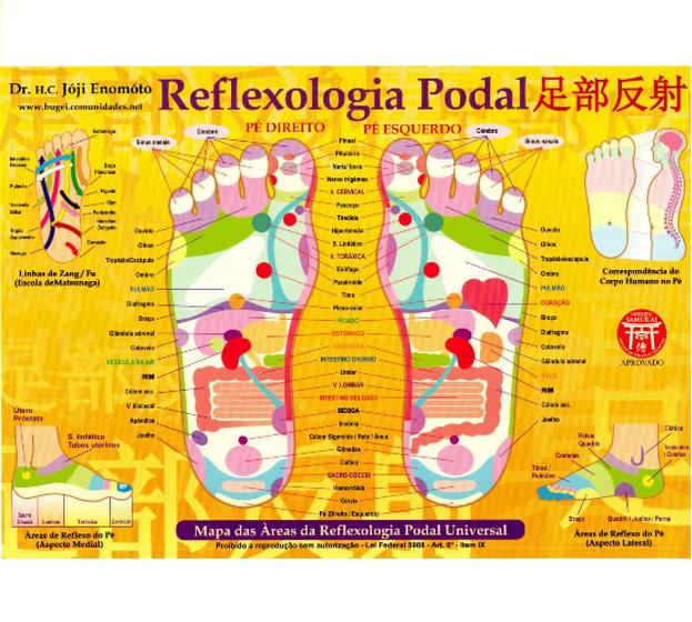 Imagem de Mapa - Reflexologia Podal - Profº. Enomoto