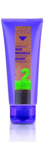 Imagem de Máscara Salerm Grapeology 200 Ml / 6.9 oz