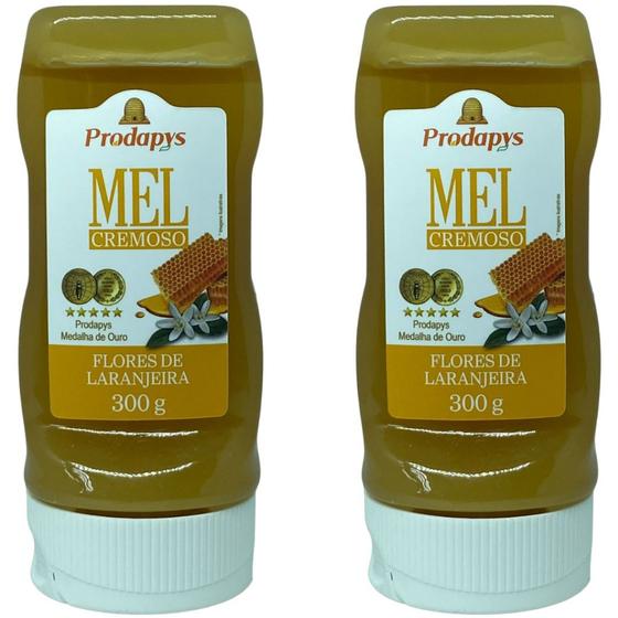 Imagem de Mel Cremoso Flores de Laranjeira 300g Kit com 2 - Prodapys