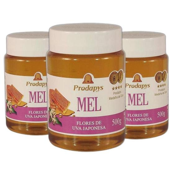 Imagem de Mel Flores De Uva Japonesa 500G Kit Com 3