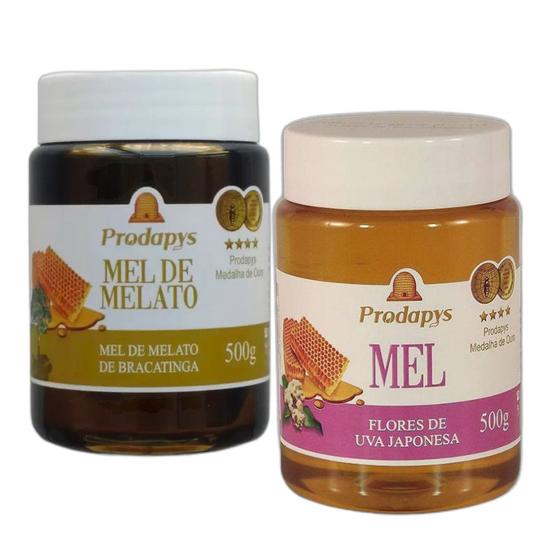 Imagem de Mel Melato de Bracatinga e Uva Japonesa 500g