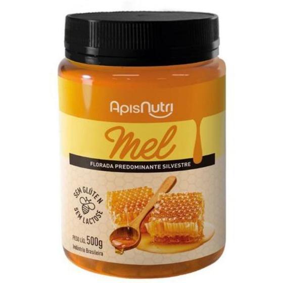 Imagem de Mel Silvestre Pote (500g) - Apisnutri