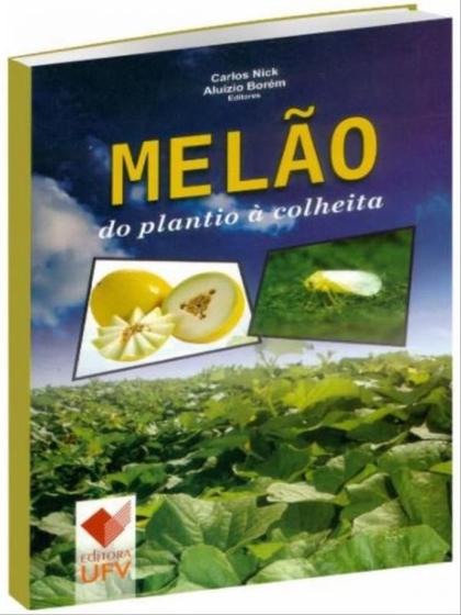 Imagem de Melão do plantio à colheita