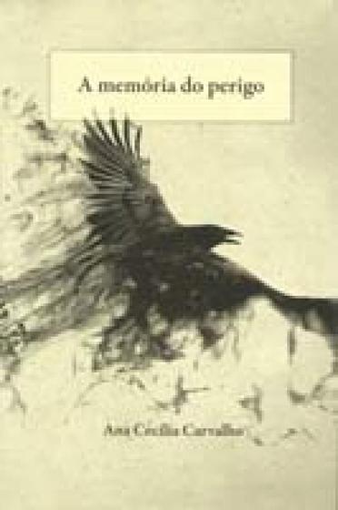 Imagem de Memoria do perigo, a - QUIXOTE