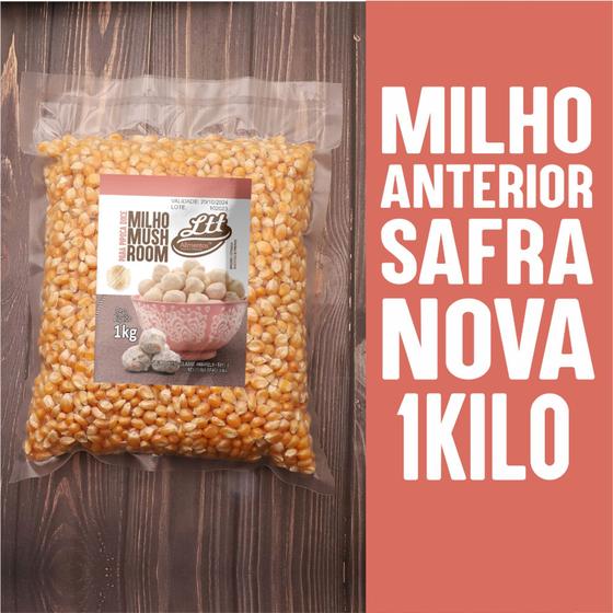 Imagem de Milho Mushroom 1 Kilo Nova Safra Super Grão Pipoca Gourmet Embalagem Vacuo
