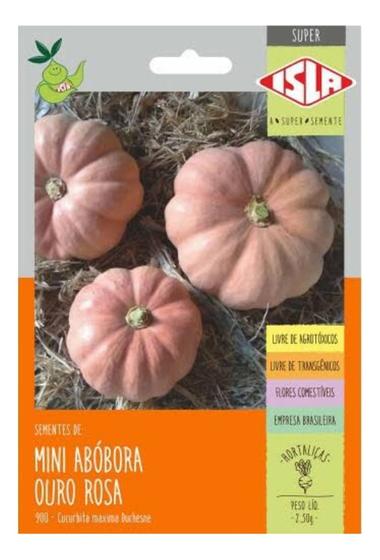 Imagem de Mini Abobora Ouro Rosa - 2.50grs de Sementes