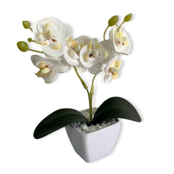 Imagem de Mini Arranjo De Orquídea Siliconada Toque Real No Vasinho Quadrado - Flor Artificial Colorida