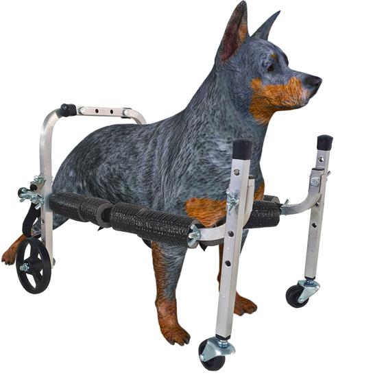 Imagem de Mini Cadeira Andador 4 Rodas Cachorro Pequeno Porte Até 4 Kg