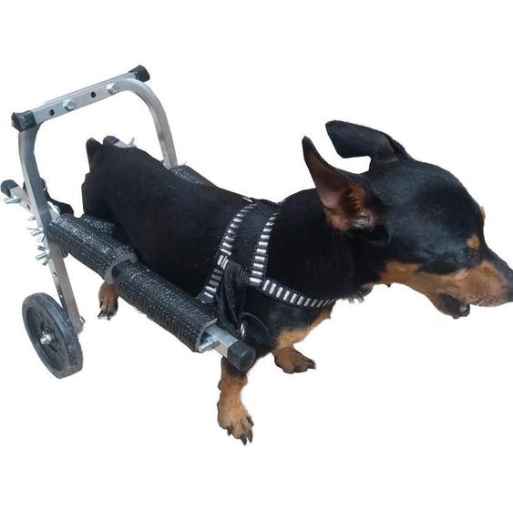 Imagem de Mini Cadeira De Rodas Para Cachorro Gato Pequeno Porte 4 Kg