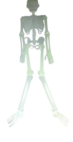 Imagem de Mini Esqueleto Humano Articulado 80 Cm Halloween- Kit 2un