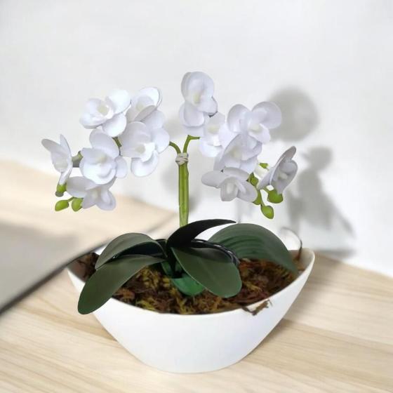 Imagem de Mini Orquídea Miniatura: Beleza Natural Em Versão Artificial