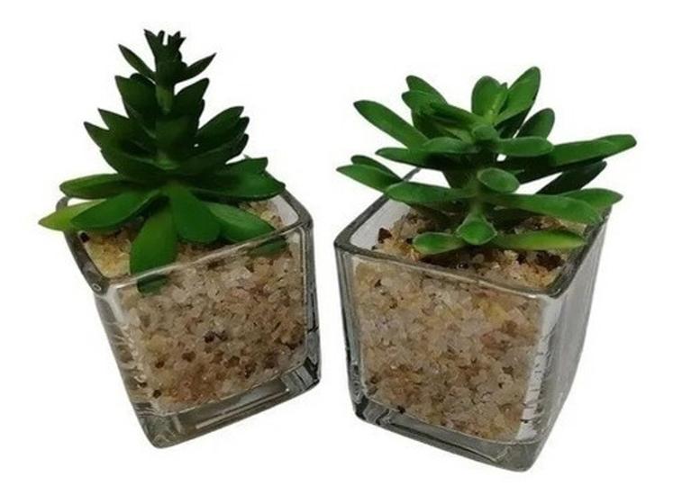 Mini Suculenta Artificial Vaso De Vidro- Plantas Artificiais - Coisaria - Plantas  Artificiais - Magazine Luiza