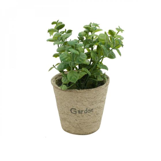 Imagem de Mini Vaso Decorativo de Papel e Plantinha Jade Sucullent 13cmx12cm Urban Verde