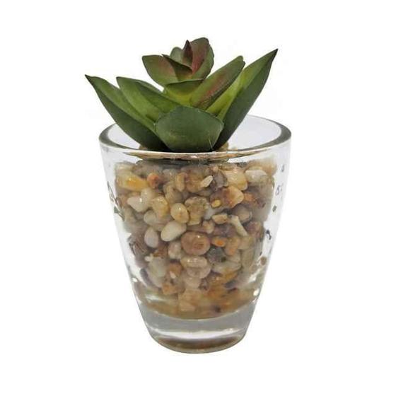 Imagem de Mini vaso uban little rocks verde com planta 8x 8x 5 cm. - Urban