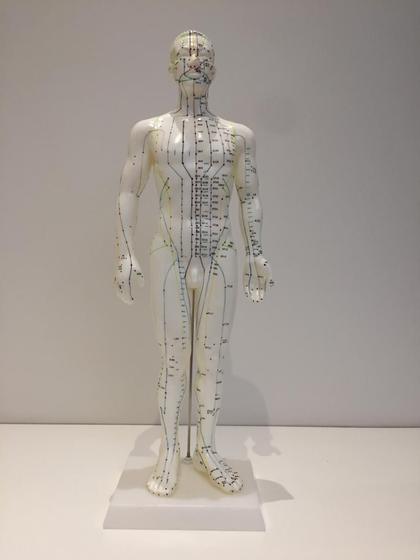 Imagem de Modelo De Corpo Humano Masculino Pontos de Acupuntura 50 cm