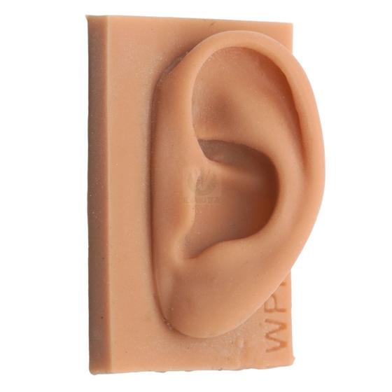 Imagem de Modelo de orelha de silicone p/ estudo
